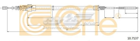 10.7137 Cofle cable de freno de mano trasero derecho/izquierdo