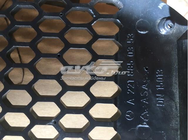 Rejilla del parachoques delantero A2218850353 Mercedes