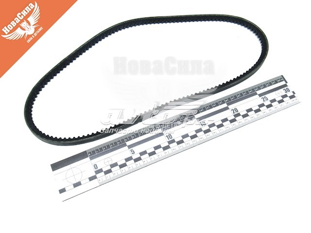 Correa de alternador 10A0888C Dayco
