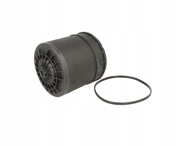 Filtro del desecador de aire (separador de agua y aceite) (camión) Haldex 950310040 precio, desde 91,54 EUR