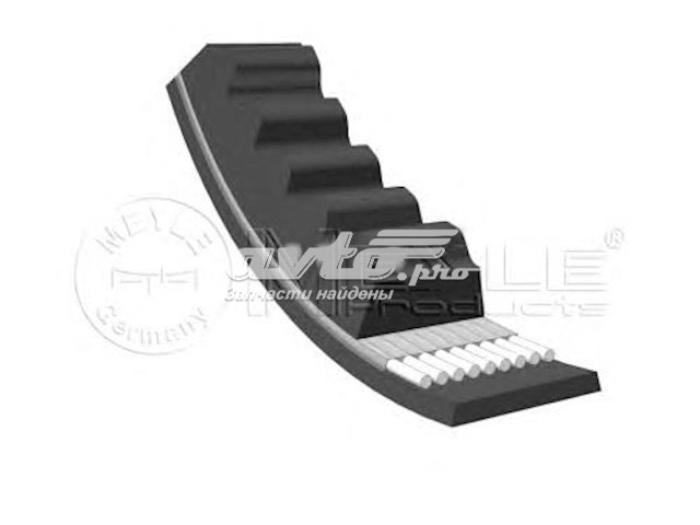 MZ690289 Mitsubishi Correa poly v