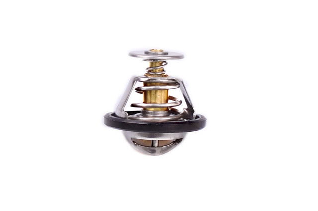 683394RC Fitshi Termostato de agua