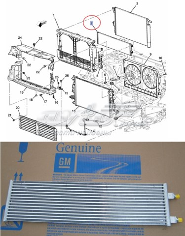 84153644 General Motors radiador enfriador de la transmision/caja de cambios