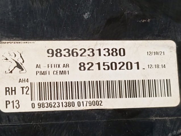  Peugeot/Citroen 9836231380