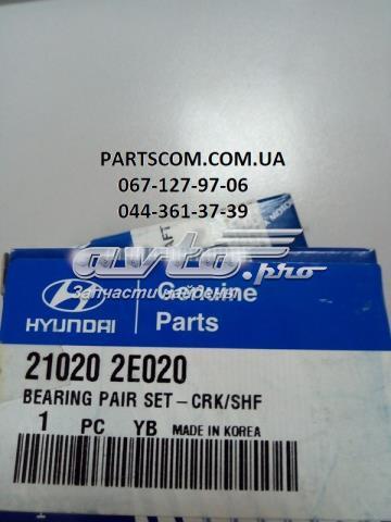 210202E020 Hyundai/Kia juego de cojinetes de cigüeñal, estándar, (std)