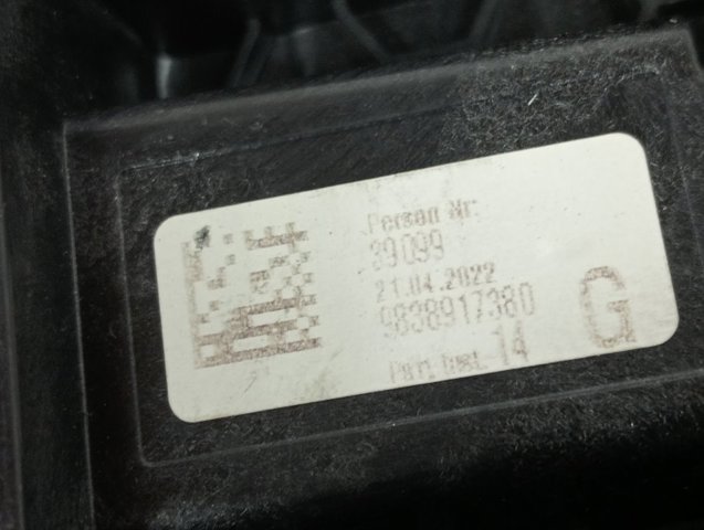 9838917380 Peugeot/Citroen 