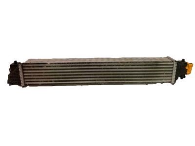 Enfriador de aire de admisión Honda 197105AAA01