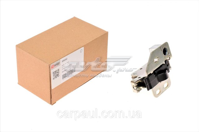 305052 Solgy cerradura de puerta de batientes, trasera izquierda