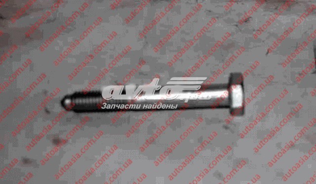 Comprar N10023602 Chery Perno de fijación del brazo inferior trasero
