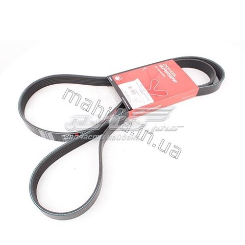 Comprar 113600015702 Geely Correa trapezoidal