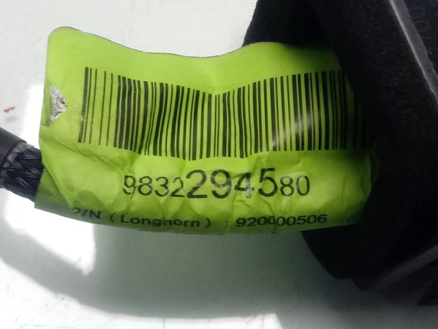 Comprar 9832294580 Peugeot/Citroen Cámara del sistema de visión