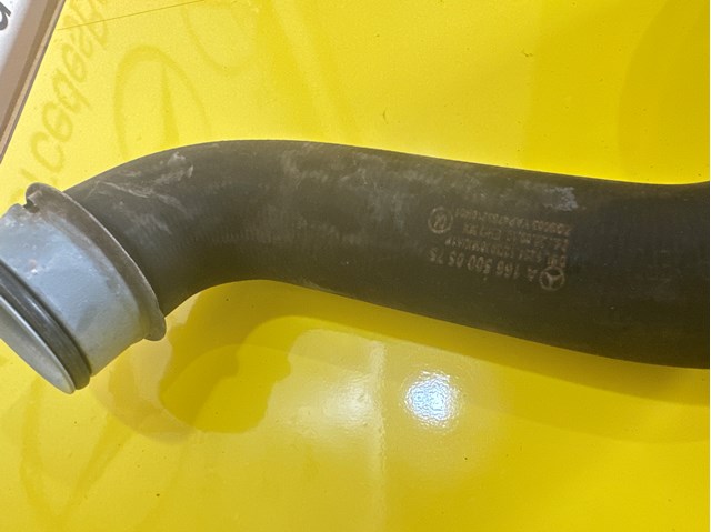 1665000575 Mercedes manguera refrigerante para radiador inferiora