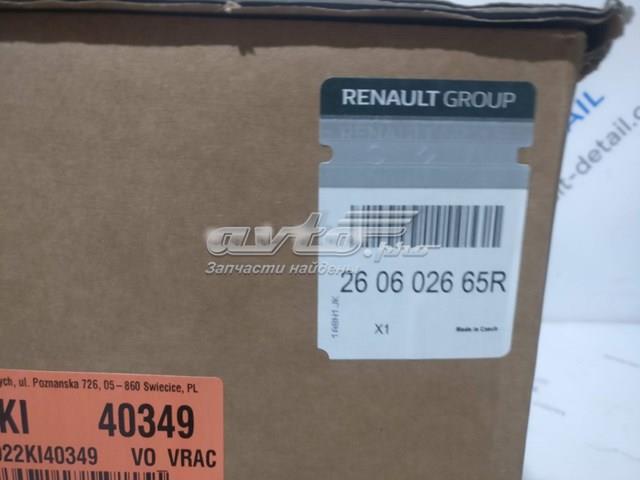  Renault (RVI) 260607383R precio, desde 107,99 EUR