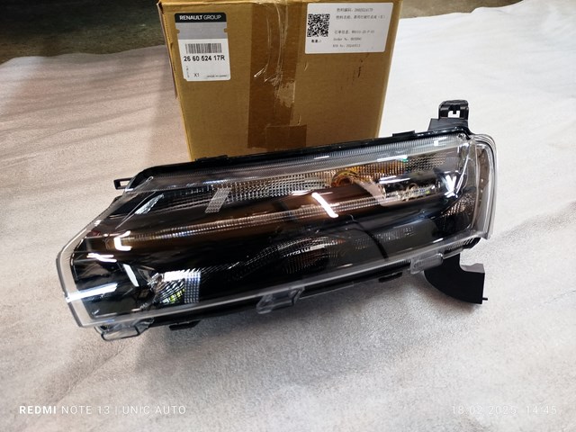  266052417R Renault (RVI)