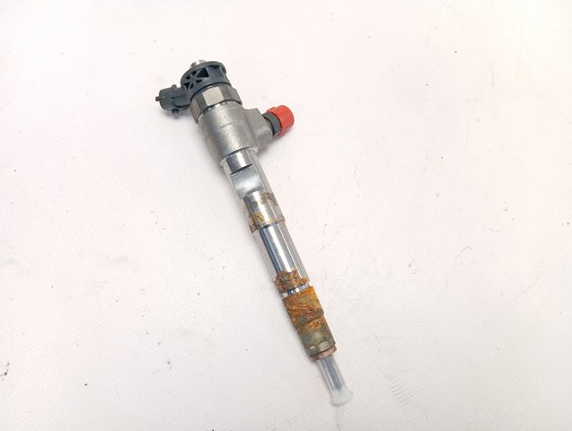 Inyector 0445110800 Renault (RVI)