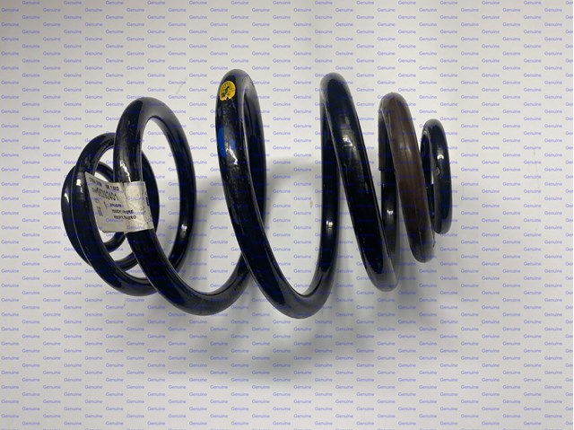 96392401 General Motors Muelle trasero
