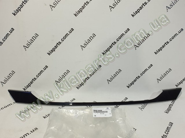 Moldura inferior de la parrilla del radiador Hyundai/Kia 863562W000 precio, desde 27,72 EUR