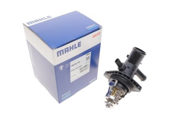 TM58101 Mahle Original