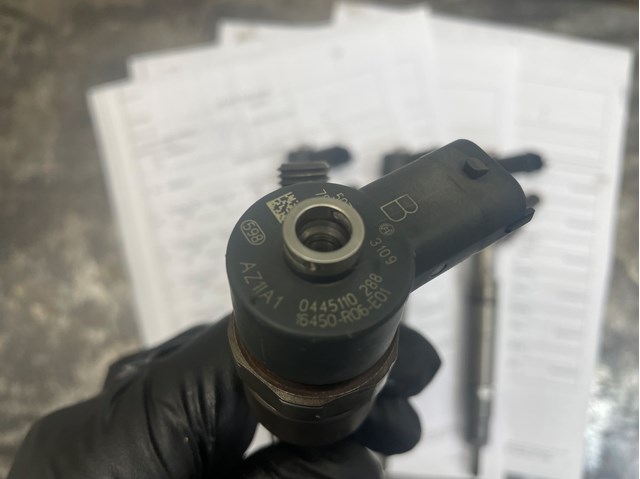 0445110288 Bosch Inyector de combustible
