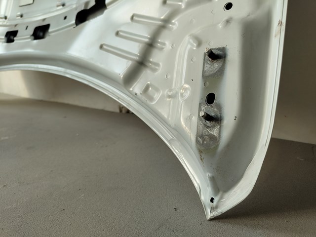 Capó del motor Fiat/Alfa/Lancia 51984308 precio, desde 188,83 EUR