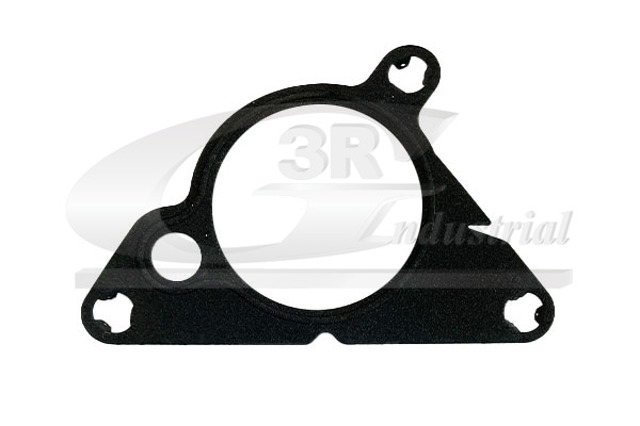Junta de la bomba de vacío 9835543580 Peugeot/Citroen