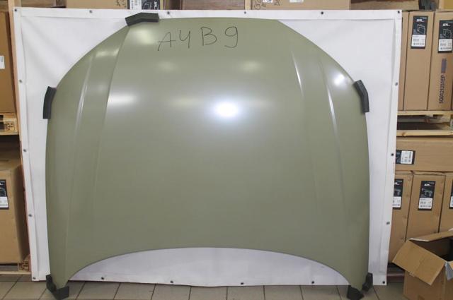 Capot Polcar 13D203