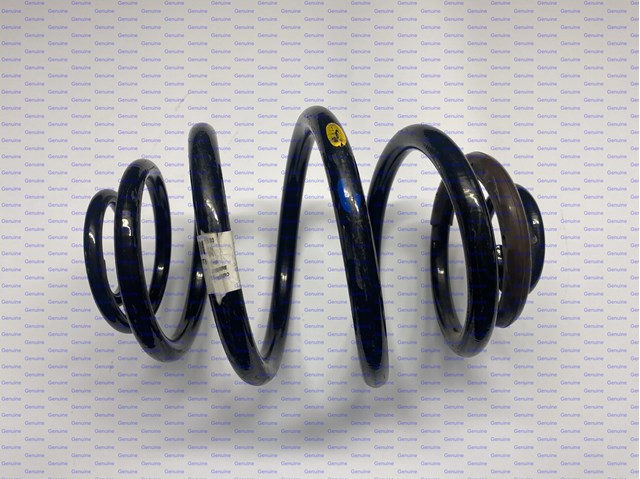 Muelle de suspensión trasero General Motors 96392401 precio, desde 30,03 EUR