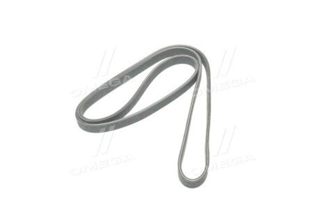 Correa de transmisión trapezoidal Dayco 6DPK1825 precio, desde 54,44 EUR