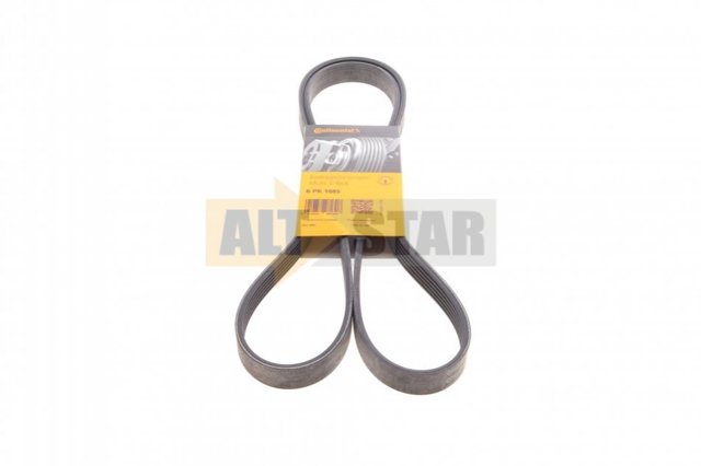 6PK1685 Continental/Siemens Correa poly v