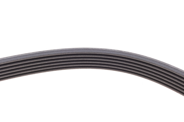 Correa de transmisión trapezoidal Continental/Siemens 6PK1685 precio, desde 11,14 EUR