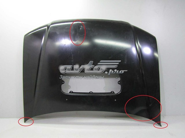 Capó 57229SA0109P Subaru