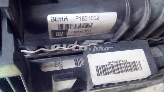 Água radiador General Motors 13241724 precio, desde 129,23 EUR