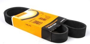 Correa de alternador 7PK1113 Continental/Siemens