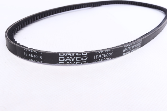 10A0900C Dayco Correa poly v