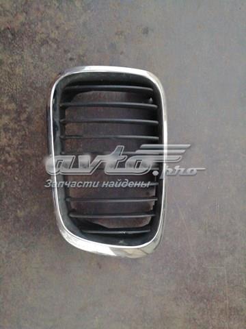 Rejilla delantera BMW 10627110 precio, desde 47,92 EUR