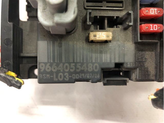 Comprar 9664055480 Peugeot/Citroen 
