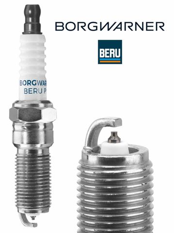  Z517 Beru