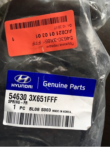 546303X651FFF Hyundai/Kia Muelle delantero