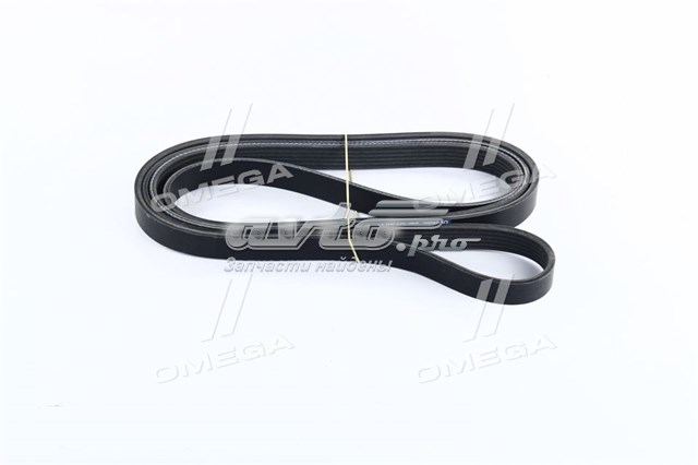 Correa accesorios Dongil 6PK2552