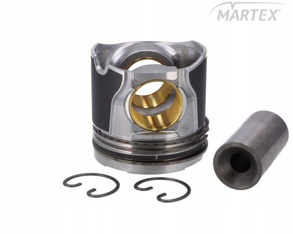 Pistón Mahle Original 227PI00141000