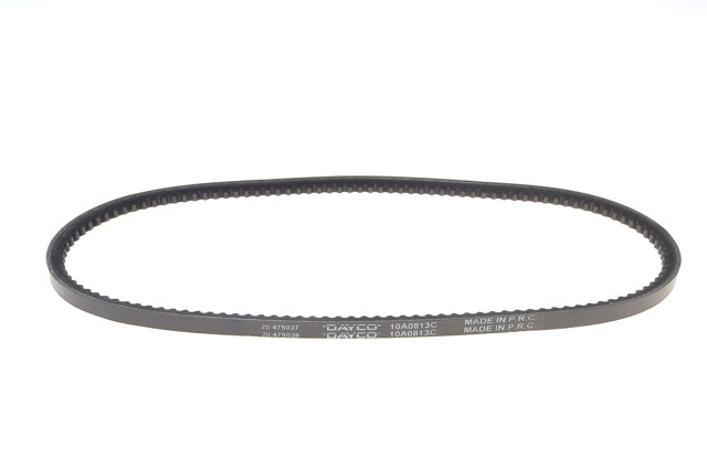 10A0813C Dayco Correa poly v
