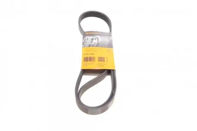 Correa de alternador 6PK1244 Continental/Siemens