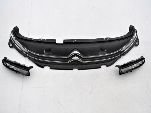 Rejilla Peugeot/Citroen 9816749780