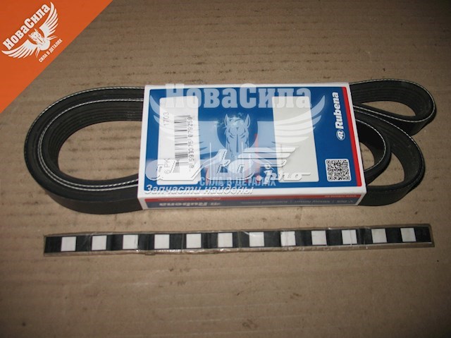 6PK1703 Vika Correa poly v