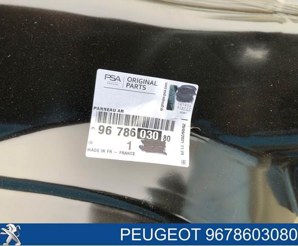 9678603080 Peugeot/Citroen