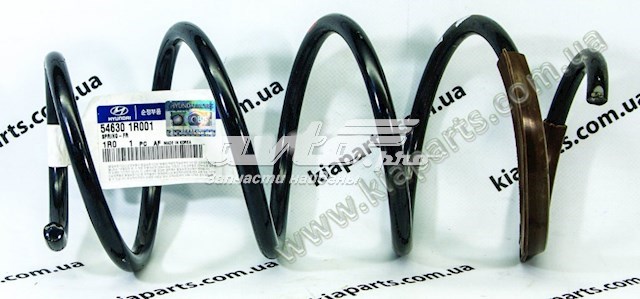 546301R001 Hyundai/Kia Muelle delantero
