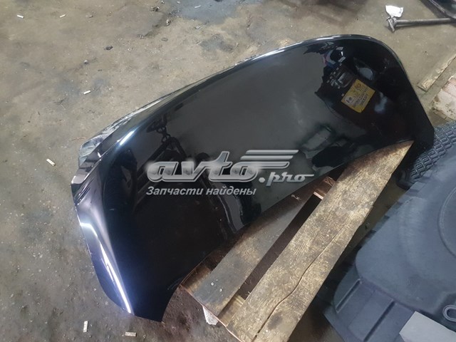 692003T040 Hyundai/Kia tapa del maletero