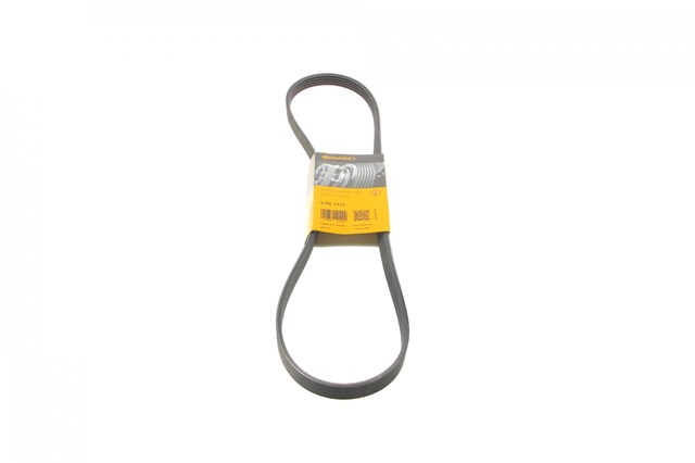 Correa de alternador 5PK1173 Continental/Siemens