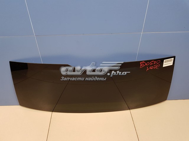 GS5013D21 FPS Cristal de la puerta trasera