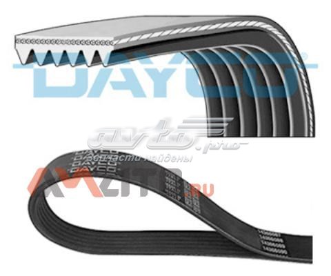 6PK720 Dayco Correa poly v